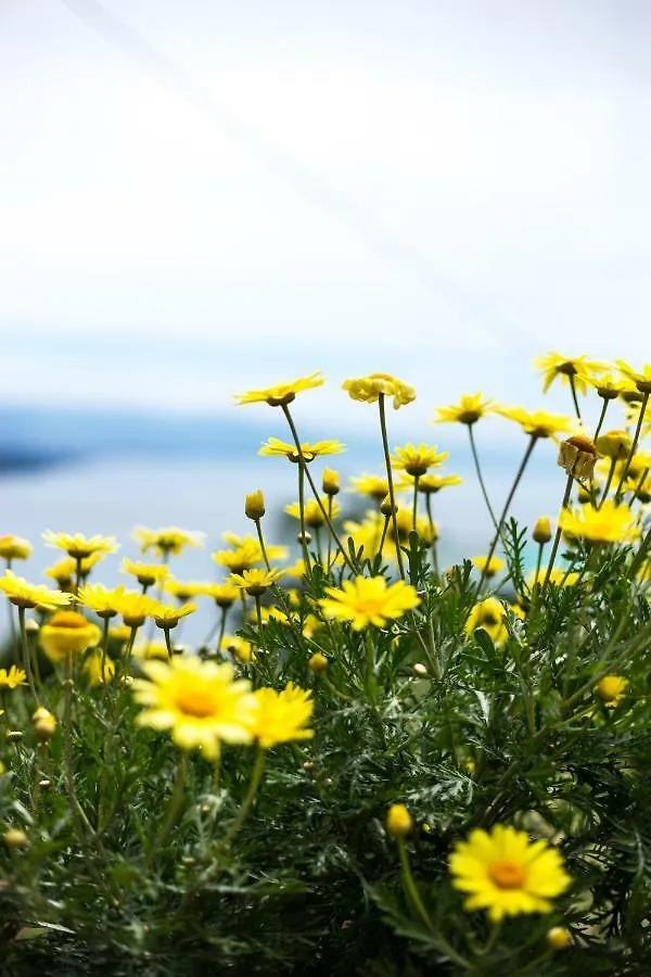 Apartment Opatija